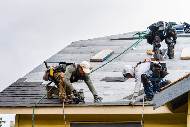 Professional Gutter Installation technician working in Doctors Inlet, FL